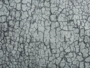 StarryFlicker_Flannel Stanton Carpet