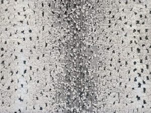 Legendary-Incredible-Kane carpet