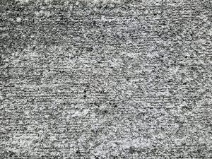 Renaissance-Squire-kane carpet