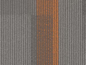 amplify plank-sunburst-pentz